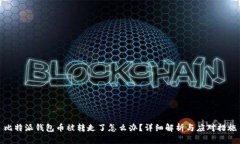 比特派钱包币被转走了怎么办？详细解析与应对