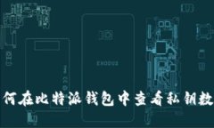 如何在比特派钱包中查看私钥数据