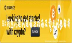 BK钱包闪退问题解决指南及常见问题解析
