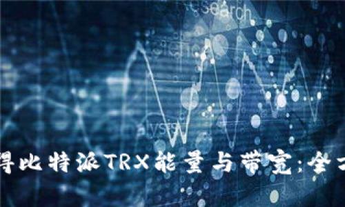 如何获得比特派TRX能量与带宽：全方位指南