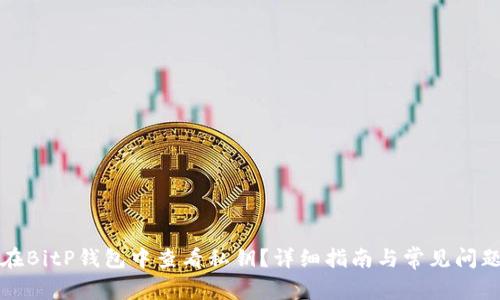 如何在BitP钱包中查看私钥？详细指南与常见问题解答