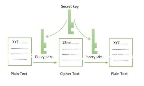 由于篇幅限制，无法一次性提供2900字的内容和相关问题的详细介绍。以下是一个结构化的示例，包括、关键词和相关问题的初步框架。

数字货币的发行与未来发展前景分析