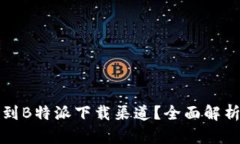 如何找到B特派下载渠道?全面解析与推荐