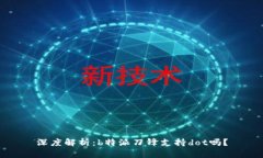 深度解析:b特派刀锋支持dot吗?