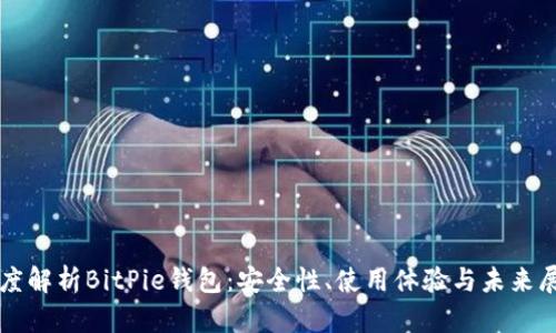 深度解析BitPie钱包:安全性、使用体验与未来展望