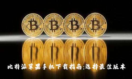 比特派苹果手机下载指南:选择最佳版本