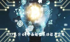 BitP是什么?全面解读其功能与应用