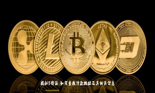 揭秘B特派:如何查找付款地址及其相关信息