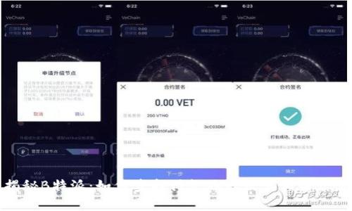 揭秘B特派:如何查找付款地址及其相关信息