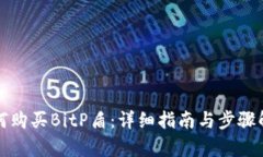 如何购买BitP盾:详细指南与步骤解析