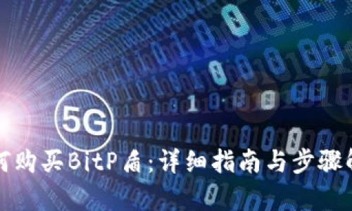 如何购买BitP盾:详细指南与步骤解析
