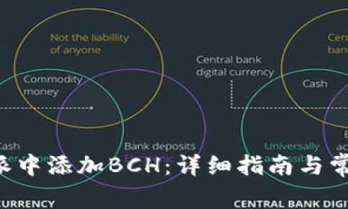 如何在B特派中添加BCH:详细指南与常见问题解答