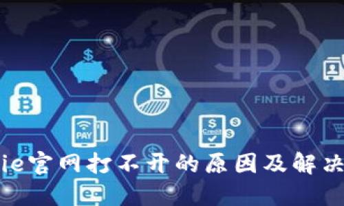 BitPie官网打不开的原因及解决方案