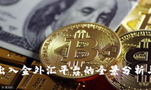 数字货币出入金外汇平台的全景分析与投资指导