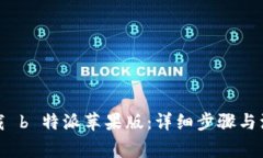 如何下载 b 特派苹果版:详细步骤与注意事项