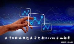 关于B特派钱包是否支持BSV的全面解析