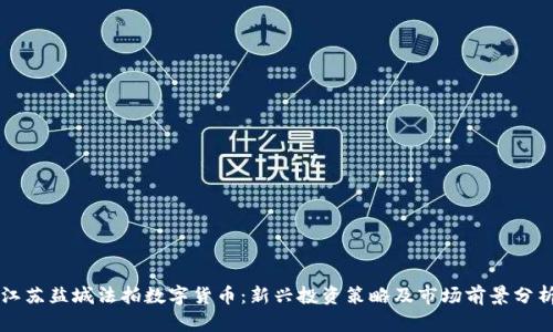 江苏盐城法拍数字货币:新兴投资策略及市场前景分析