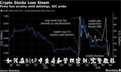 如何在BitP中查看和管理密钥:完整教程