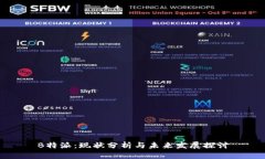 B特派:现状分析与未来发展探讨