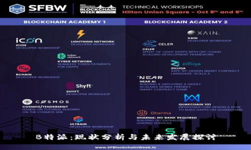 B特派:现状分析与未来发展探讨