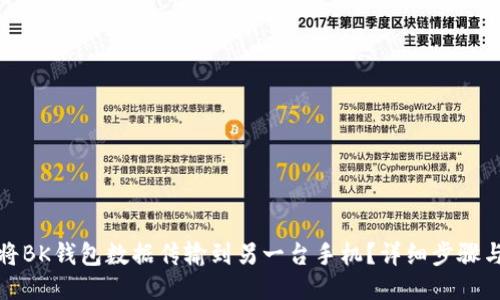 如何将BK钱包数据传输到另一台手机?详细步骤与技巧