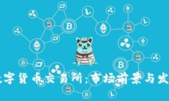 中国最大数字货币交易所：市场前景与发展趋势