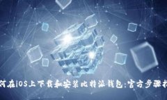 如何在iOS上下载和安装比特派钱包:官方步骤指