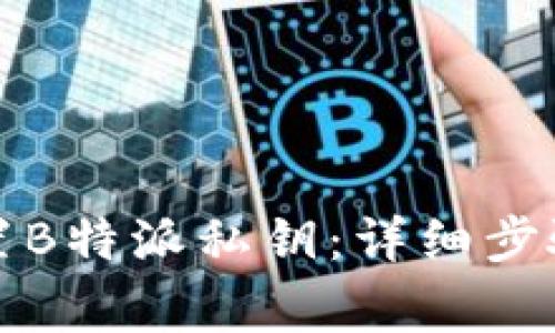 如何正确设置B特派私钥:详细步骤与注意事项