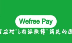 如何应对“b特派微博”消失的困扰?