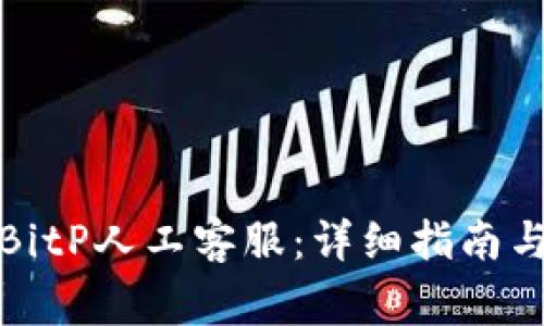 如何联系BitP人工客服:详细指南与常见问题