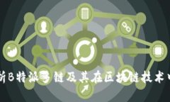深入解析B特派多链及其在区块链技术中的应用