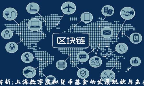 
深度解析：上海数字虚拟货币基金的发展现状与未来趋势