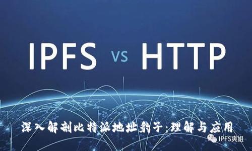 深入解剖比特派地址豹子：理解与应用