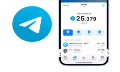 以太坊钱包快速设置指南：从新手到专家