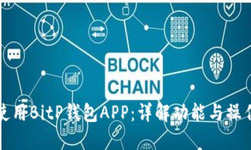 如何使用BitP钱包APP：详解功能与操作指南