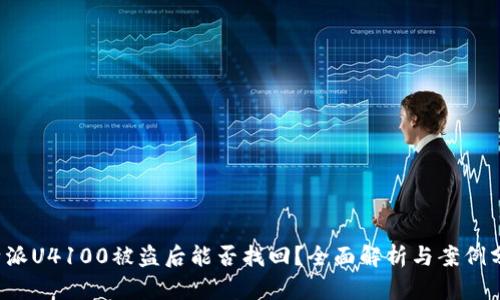 b特派U4100被盗后能否找回？全面解析与案例分析