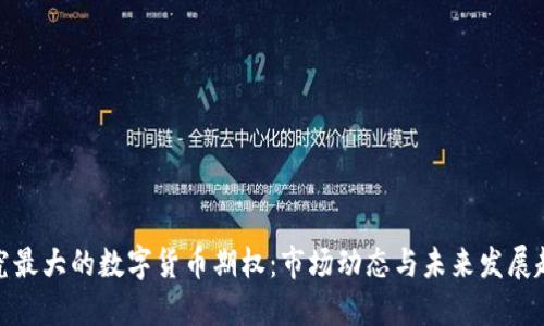 探究最大的数字货币期权:市场动态与未来发展趋势