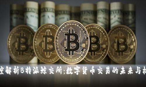 深度解析B特派鲸交所:数字货币交易的未来与机遇