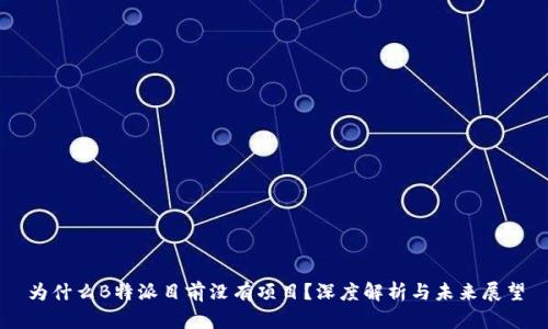 为什么B特派目前没有项目?深度解析与未来展望