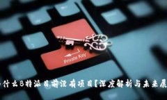 为什么B特派目前没有项目?深度解析与未来展望