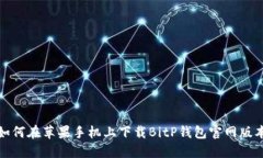 如何在苹果手机上下载BitP钱包官网版本