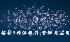 深入解析B特派操作:管理与应用实践