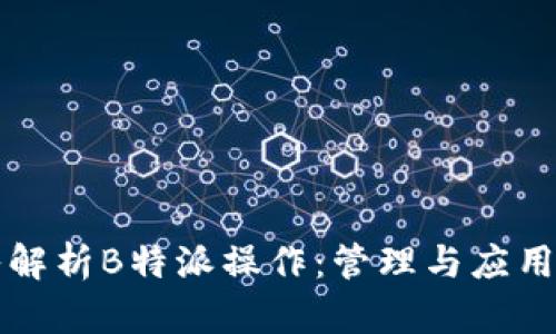 深入解析B特派操作:管理与应用实践