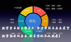 数字货币能不能长久:深度分析与未来展望数字