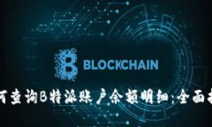 如何查询B特派账户余额明细:全面指南