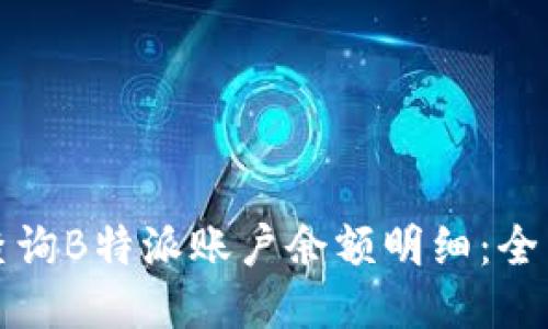 如何查询B特派账户余额明细:全面指南