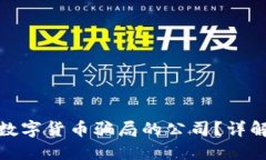 如何控告涉及数字货币骗局的公司?详解用户维