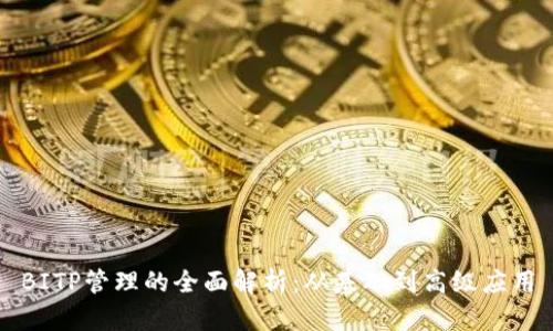 BITP管理的全面解析:从基础到高级应用