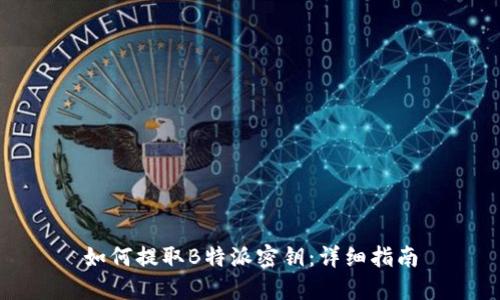 如何提取B特派密钥:详细指南