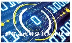 全面解读:如何在比特派钱包中进行充币操作
